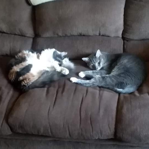 🌸WOMENS APPAREL🌸 - Picture 4 of 7